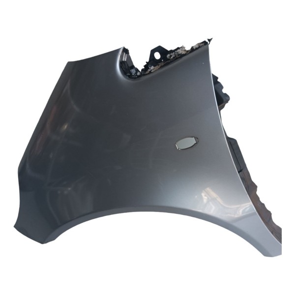 Paralama Dianteiro Esquerdo Classe A160 2001 2002 Á 2005