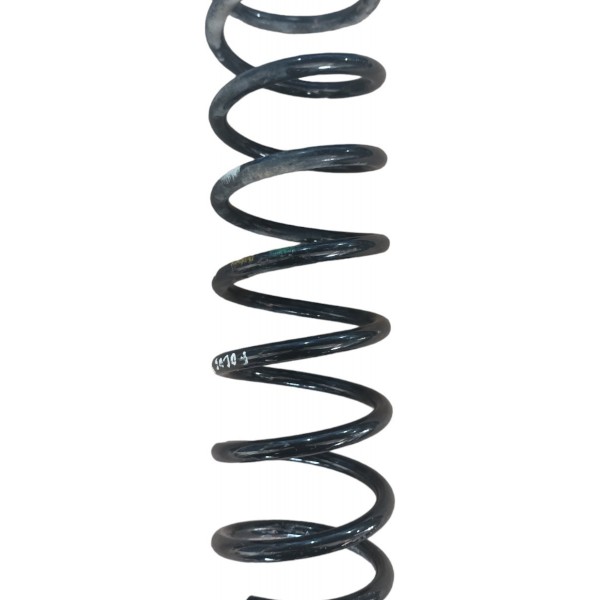 Mola Traseira Direita Ford Focus 2.0 2014 2015 Usado