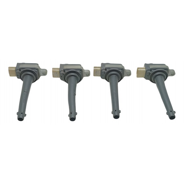 Bobina Ignição Fluence 2.0 2011 Á 2018 0221504030