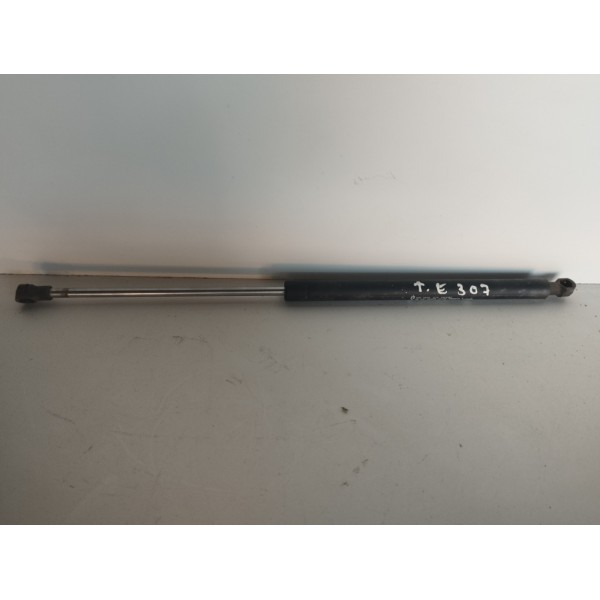 Amortecedor Tampa Traseira Peugeot 307 2008 2009 2010