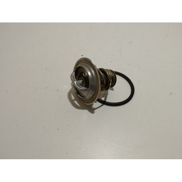 Válvula Termostática Tiguan Audi Passat Tsi 2.0 06j121113c