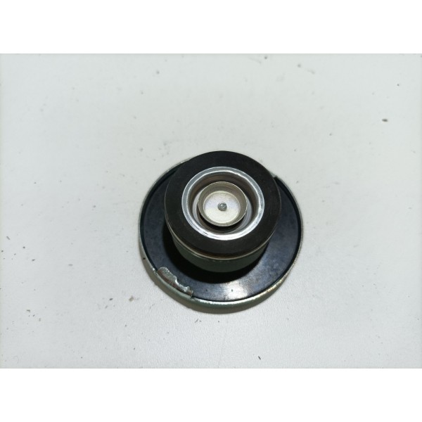 Tampa De Radiador S10/blazer 1995 Á 2012  F17 24017