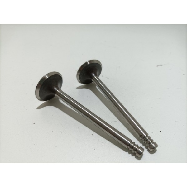 Válvula De Admissão Gol 1.0 Até 1996 (2pçs) Vs4934