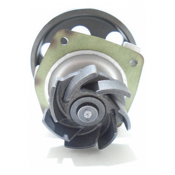 Bomba D'agua Strada Palio Siena - 1.0 1.3 1.5 - Polia Mult V