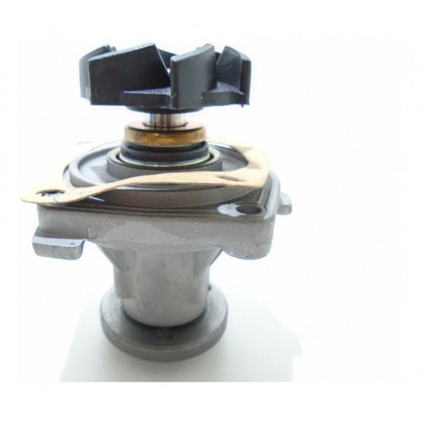 Bomba D'água Gol/parati/passat/saveiro Ap 75/85 7000454001